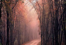 2025NBA全明星名人赛名单公布 王鹤棣连续两年参赛_体育_央...