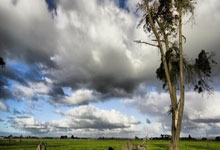 蓝鲸体育：1比1踢和水晶宫 蓝军主帅吁球员把握机会.