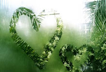 2025NBA全明星名人赛名单公布 王鹤棣连续两年参赛_体育_央...